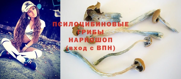 дмт Верея