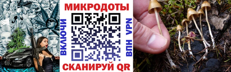 блэк спрут вход  Новочеркасск  Псилоцибиновые грибы Magic Shrooms 